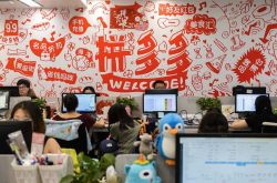 6分钟科普!大理白族自治州中药_哔哩哔哩